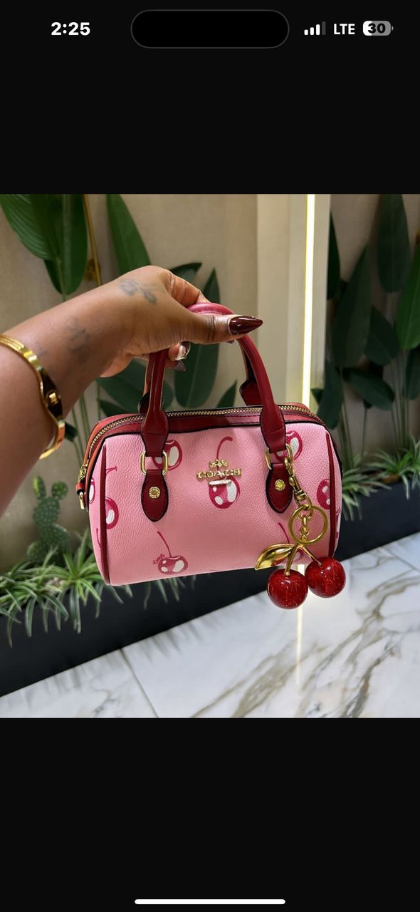 #005 coach cherry bag